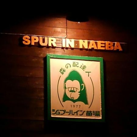 Spur In Naeba Villa Kuszacu Kültér fotó